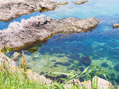 保加利亚黑海岸边度假胜地索佐波尔镇附近黑海沿岸的岩石上图片