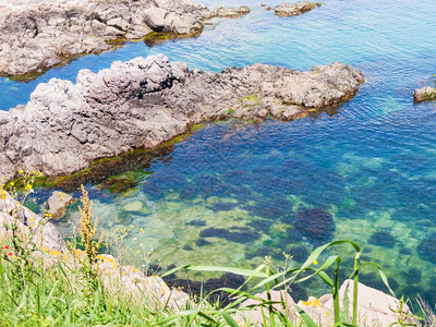 保加利亚黑海岸边度假胜地索佐波尔镇附近黑海沿岸的岩石上图片