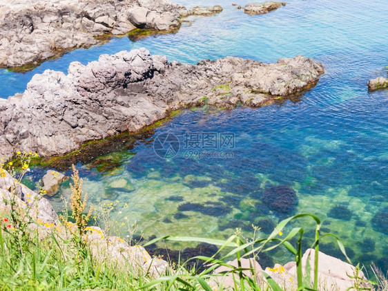 保加利亚黑海岸边度假胜地索佐波尔镇附近黑海沿岸的岩石上图片