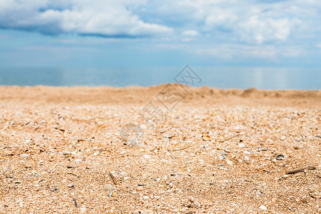前景焦点沙滩和雪莱海滩特写和蓝天白云亚速海海岸线Temryuk湾Golubitskaya度假村塔曼半岛库班俄罗斯图片