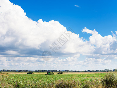 俄罗斯库班Kuban的夏日天空和白云图片