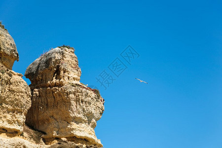 前往阿尔加夫葡萄牙被侵蚀的沙石悬崖和海鸥在晴天Albufeira市附近的PraiaMariaLuisa海滩蓝天空中被侵蚀的沙石悬图片