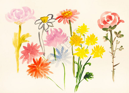 以水彩漆为特色用水彩涂料象牙彩色纸上的各种鲜花进行神博库加风格的培训图片