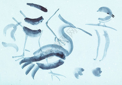 以水彩漆为特色用水彩涂料蓝纸绘制各种鸟类的素描图片