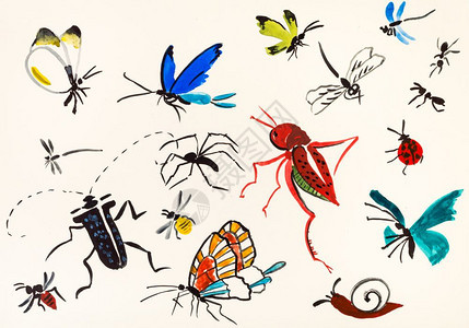 用水彩漆奶油纸涂画的各种昆虫手图片