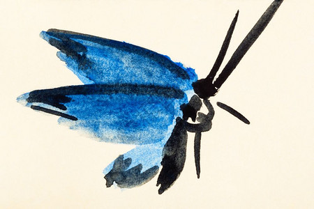 用水彩漆色涂料在奶油彩纸上涂蓝翅膀的飞蛾图片