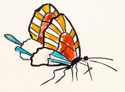 以水彩油漆为特色用水彩涂料进行sumie风格的sudokugasumie培训用奶油彩纸涂漆的多翅膀蝴蝶图片