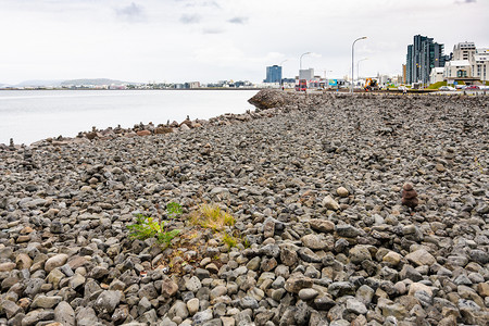 前往冰岛位于雷克雅未市的Reykjavik市大西洋海岸的雕塑和石滩图片