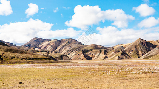 前往冰岛高地区Fjellabak自然保护区Landmannalaugar地区的Vondugil山谷的全景图片