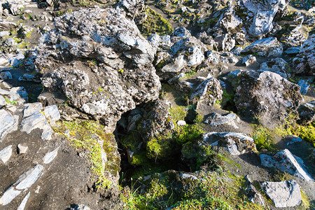 前往冰岛高地区Fjellabak自然保护区Landmannalaugar地区的Laughahraun火山熔岩场老石图片