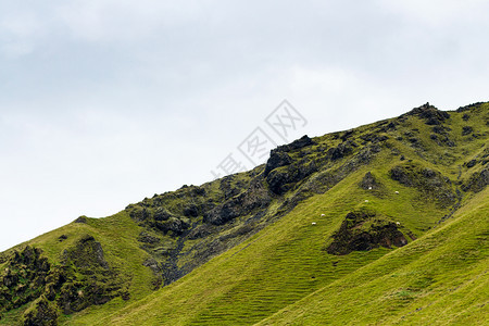 前往冰岛绿山坡在冰岛靠近大西洋南海岸KatlaGeoparkinseptember的VikIMyrdal村带冰山羊前往岛图片