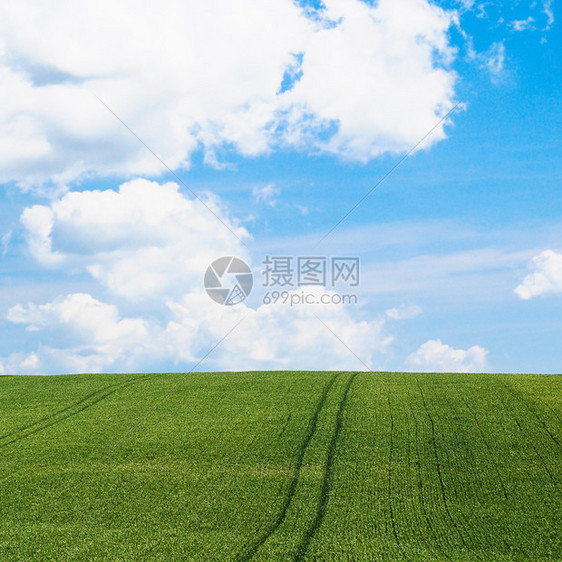 法国皮卡地Picardy地区蓝色天空下的绿谷物田图片