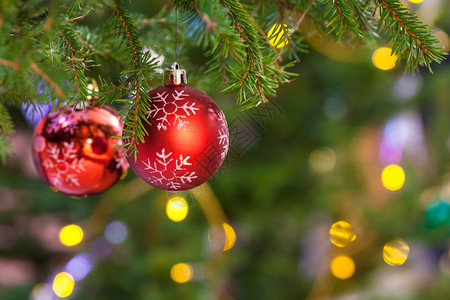 新鲜的冷杉圣诞树枝上有两个红色的球圣诞背景室内新鲜冷杉圣诞树枝上的两个红色球图片