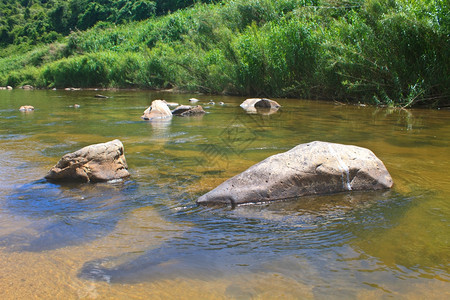 深森林抽象自然背景的河流中岩石图片