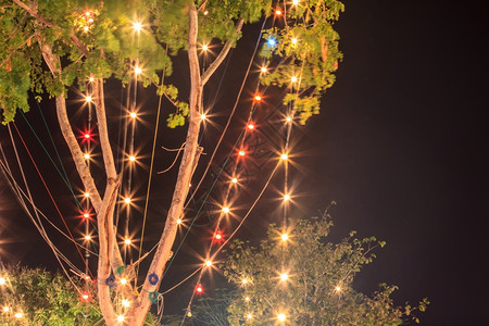树上布料夜间木装饰品圣诞新年背景图片