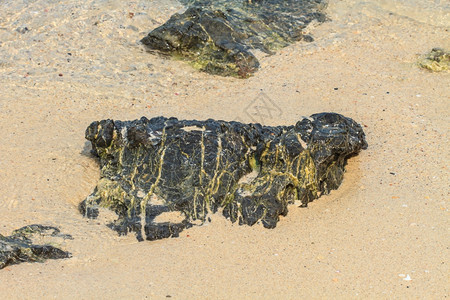 泰国夏季美丽的热带海滩岛和洋图片