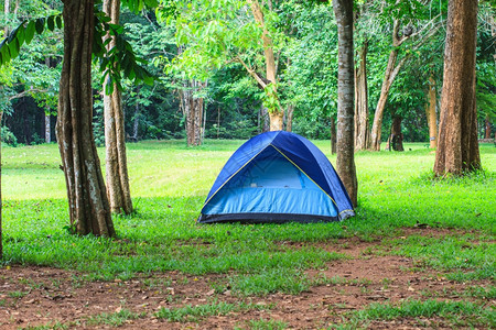公园露营地的多彩帐篷图片