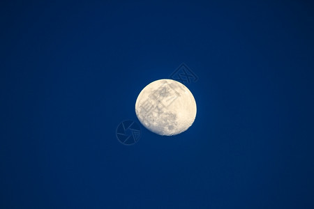 满月夜图片
