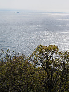 海上船舶和图片