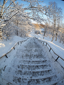 冬季公园的楼梯图片