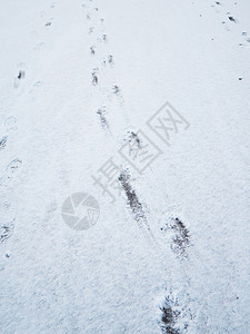 雪中的脚足迹图片