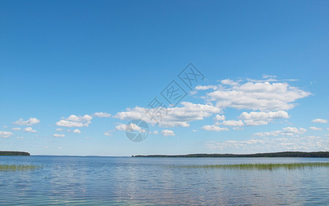 Karelia美丽的湖泊图片