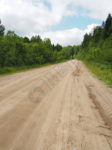 森林道路图片