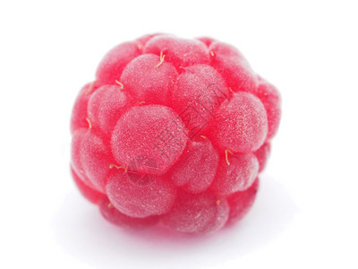 白色背景的raspberry树莓图片