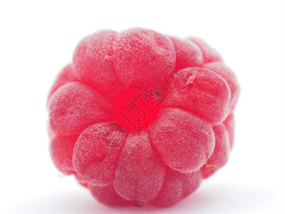 白色背景的raspberry树莓图片