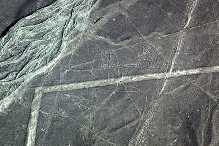 纳斯卡沙漠中鲸鱼的古代雕像图片