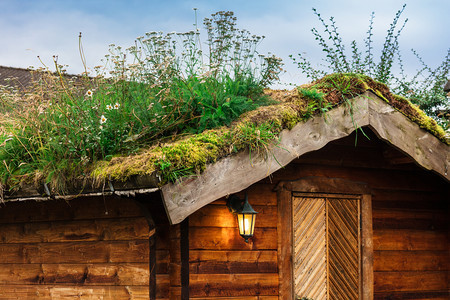 挪威传统住房有地盘屋顶图片