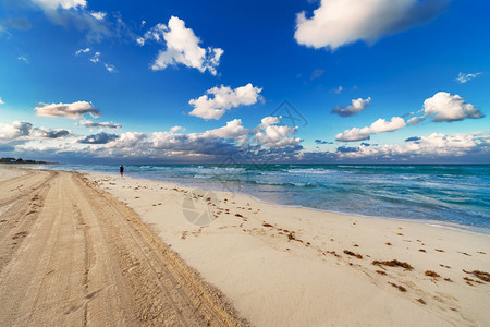 在海滩上奔跑清爽的一天图片