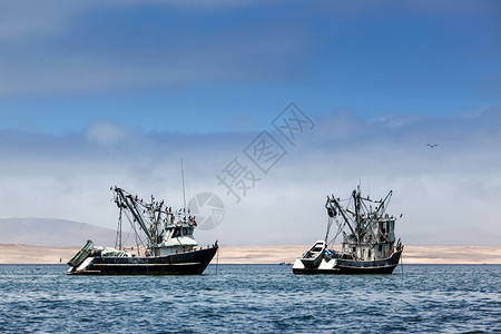 太平洋海湾的渔船图片