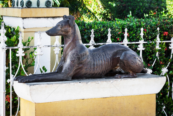 阳光明媚的一天旧狗雕像图片