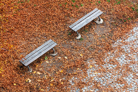 秋天公园的木板椅上图片