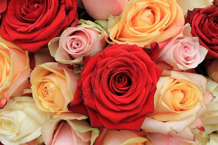 花式婚礼装饰中的混合粉红玫瑰图片