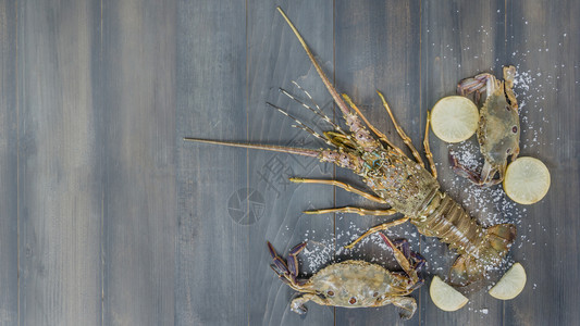 含有甲壳动物的食品框架龙虾螃蟹柠檬和背景盐含有甲壳动物的食品框架图片