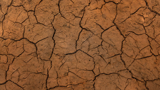 干燕窝纹理干裂干枯的泥土全球变暖的影响裂土质地背景