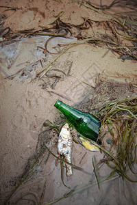 水中的瓶装碎片污染环境保护概念有选择的重点图片
