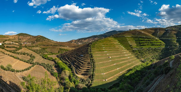 葡萄牙著名的Wine港地区杜罗的Torto河谷与葡萄园和梯田坡的美景图片