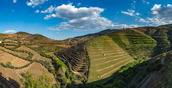 葡萄牙著名的Wine港地区杜罗的Torto河谷与葡萄园和梯田坡的美景图片