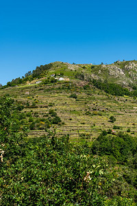 梯田景观MiradourodosSocalcos俯瞰农业梯田著名的风格景观PortaCovaplaceSisteloArcosd图片