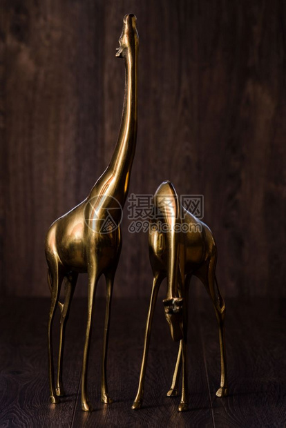棕色背景的装饰长颈鹿黄铜雕像图片