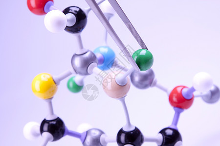 分子链接实验室中的食品背景