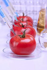 转基因水果和蔬菜转基因水果和蔬菜图片