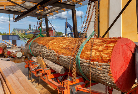 红木树干躺在城市堤岸的锯木厂上斯德哥尔摩瑞典斯德哥尔摩城市堤岸图片