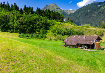 传统中世纪阿尔卑斯山村在阳光明媚的一天景象瑞士隆格伦斯威山的隆格伦老中世纪村图片