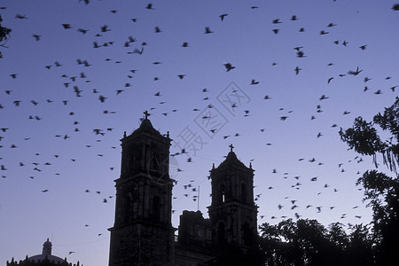中美洲墨西哥金塔纳罗奥省尤卡坦古老城镇巴利亚多德Valladolid的圣热尔瓦斯洛大教堂墨西哥巴利亚多德209年1月29年1月图片