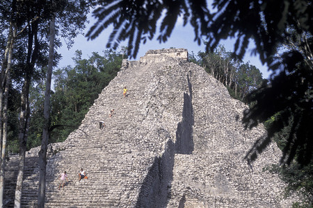中美洲墨西哥金塔纳罗奥省科巴诺霍奇穆尔皮拉米的玛雅鲁因和诺霍奇穆皮拉米德的玛雅鲁因人墨西哥科巴209年1月29年1月图片