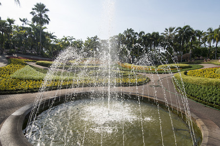 泰国春武里省芭堤雅市附近的农诺奇热带花园的一个花园泰国芭堤雅2018年11月泰国芭堤雅农诺奇热带花园图片